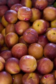 Peaches Stock Photos
