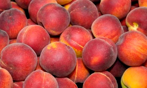 Peaches Stock Photos