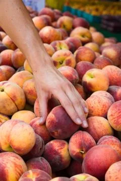 Peaches Stock Photos