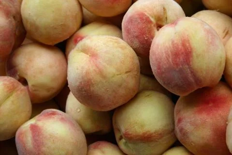 Peaches 스톡 사진