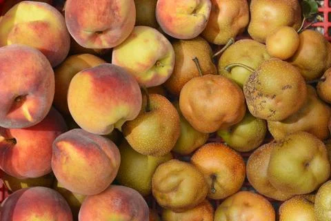 Peaches Stock Photos
