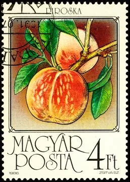 Peaches on postage stamp Stock Photos