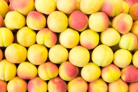 Peaches in row Foto stock