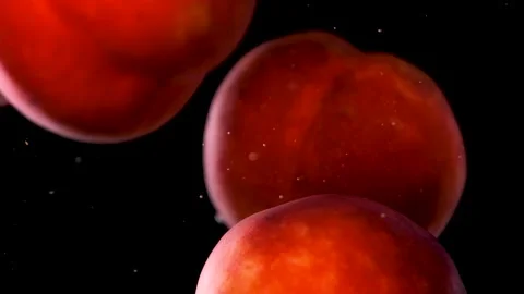 Peachs in water Stock Footage 228994814