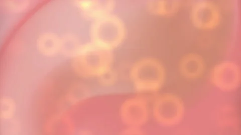 Peachy background features blurred orange circles slightly glowing. Stock Footage 303386154