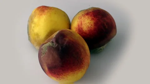 Peachy time lapse video B 20 seconds Stock Footage 3148042