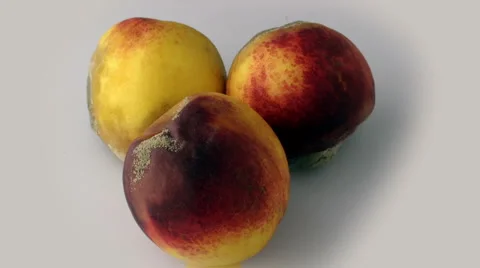 Peachy time lapse Video B 40 seconds Stock Footage 3153004