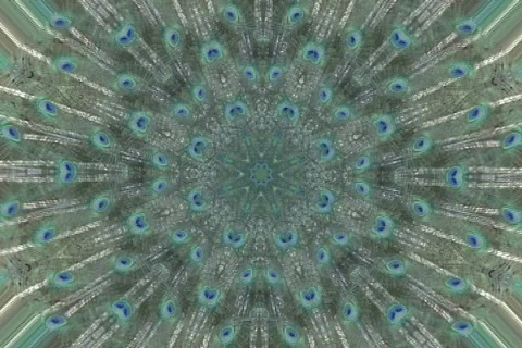 Peacock-5 Video stock 634127