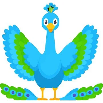 Peacock Bird Feather Patterns Symbol Nature イラスト素材