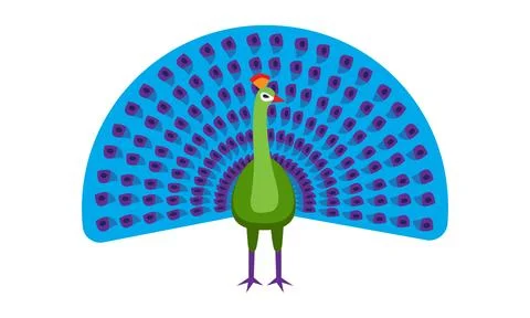 Peacock bird, open tail feather out vector Stock Illustration