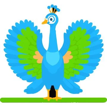 Peacock Bird Plumage Pattern-rich Beauty Nature Stock Illustration