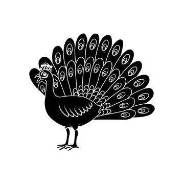 Peacock bird vector icon Illustration