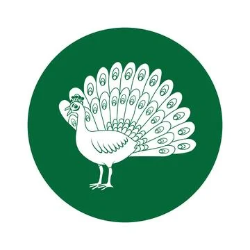 Peacock bird vector icon Illustration