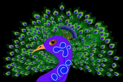 Peacock on a black background Stock Illustration