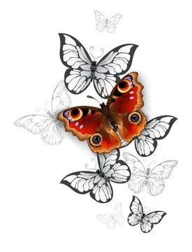 Peacock butterfly flight Illustrazione stock