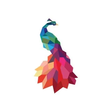 Peacock colored initial submissions to polygons design style low poly accurate Stock Illustration