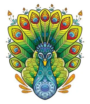 Peacock colorful vector Illustrazione stock