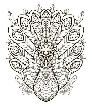 Peacock coloring vector Stock Illustration