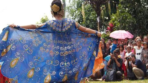 Peacock dance Stock Photos