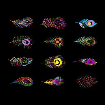 Peacock feather collection for your design Stock Illustration
