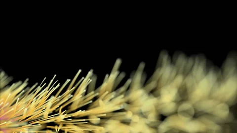 Peacock feather. Digital bird feather. Curved comet flight path. 3D-rendering of Stock Footage 96073355