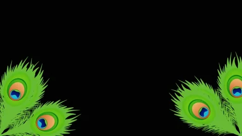 Peacock feather Video stock 199949150