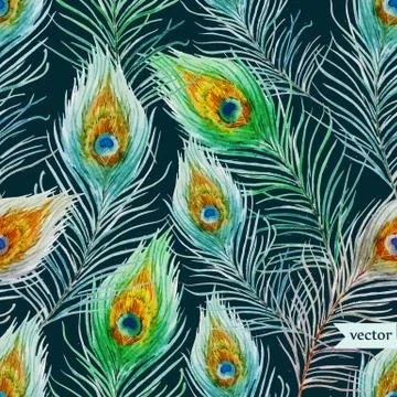 Peacock feather Stock Illustration