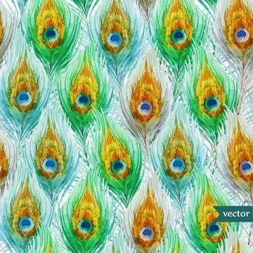 Peacock feather Stock Illustration