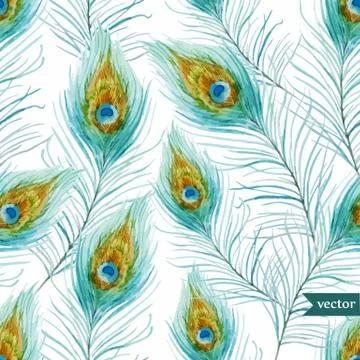 Peacock feather Illustrazione stock