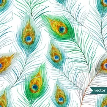 Peacock feather Illustrazione stock