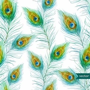 Peacock feather Stock Illustration