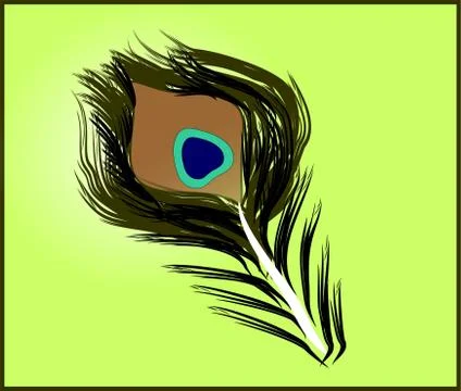 Peacock Feather Stock Illustration