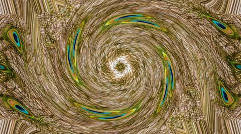 Peacock Feather Stock Illustration