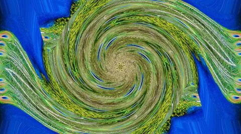 Peacock Feather 스톡 일러스트