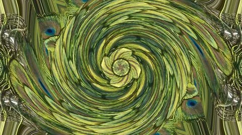 Peacock Feather Stock Illustration