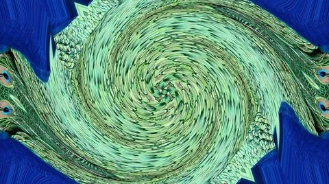 Peacock Feather Stock Illustration