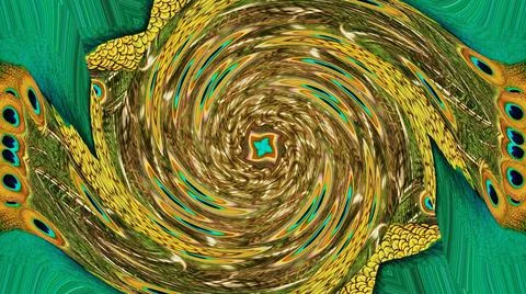 Peacock Feather Stock Illustration