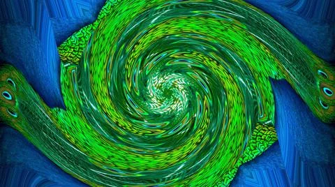 Peacock Feather Stock Illustration