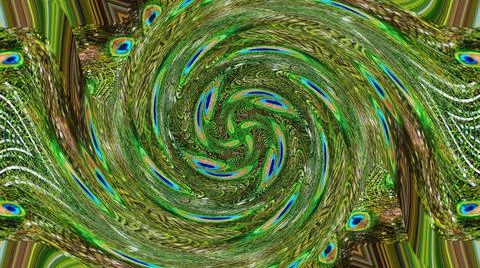 Peacock Feather Stock Illustration