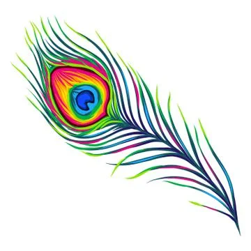 Peacock feather isolated on white background. Stock Illustration