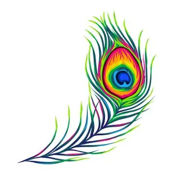 Peacock feather isolated on white background. Stock Illustration
