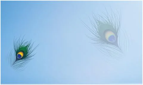 Peacock feather on light sky colour background Illustrazione stock