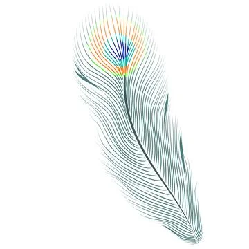 Peacock Feather One Thing Stock Illustration