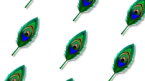 Peacock feather pattern on white background for Janmashtami festival celebr.. Stock Illustration