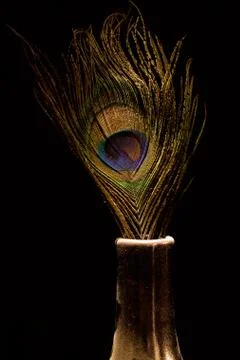 Peacock Feather Stock Photos