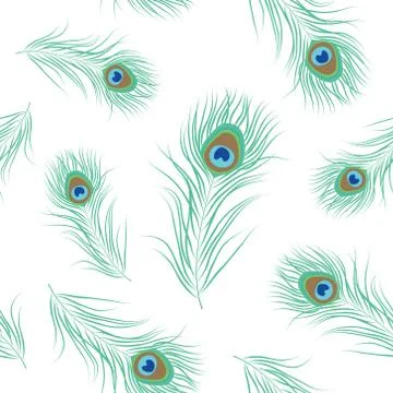 Peacock feather seamless pattern Illustrazione stock