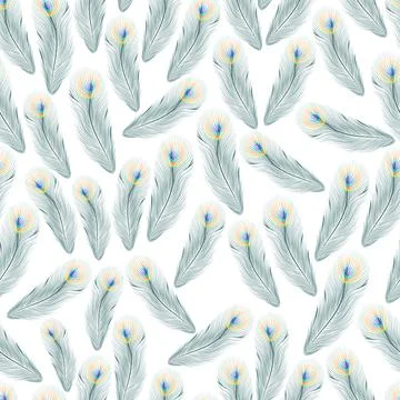 Peacock Feather Seamless Pattern Stock Illustration