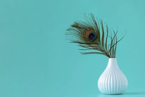 Peacock feather  in vase Stock Photos