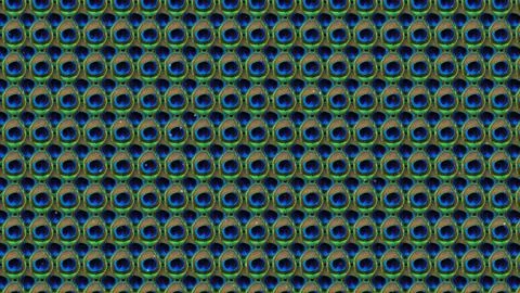 Peacock feathers background. Stock Illustration