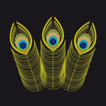Peacock feathers on black background. Stock Illustration
